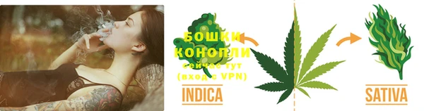 стаф Новозыбков