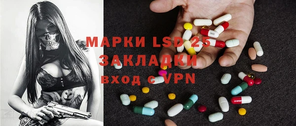 стаф Новозыбков