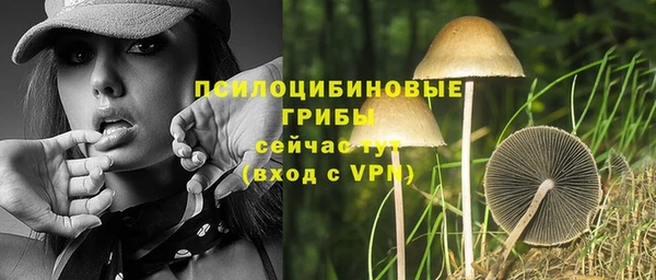 винт Нязепетровск