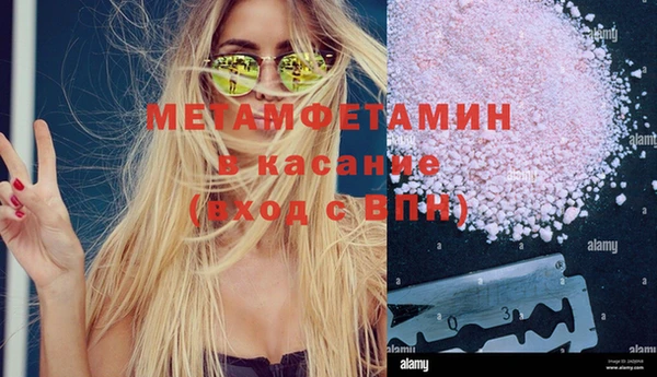 стаф Новозыбков