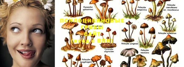 синтетический гашиш Няндома