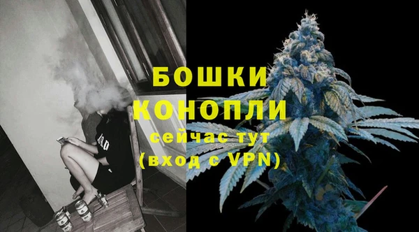стаф Новозыбков