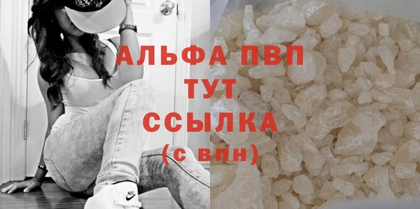 стаф Новозыбков