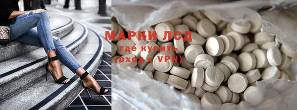 стаф Новозыбков